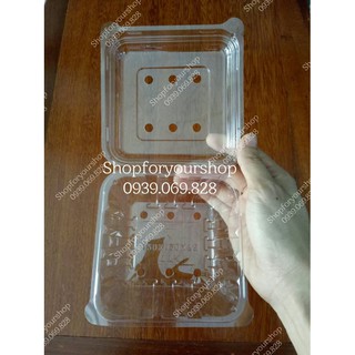 100 HỘP ĐỰNG TRÁI CÂY 250g
