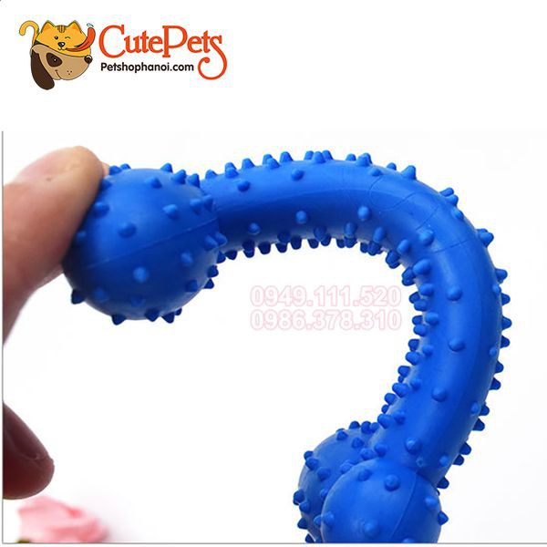 Đồ chơi cho chó hình xương cao su đặt ruột - Phụ kiện thú cưng Hà Nội
