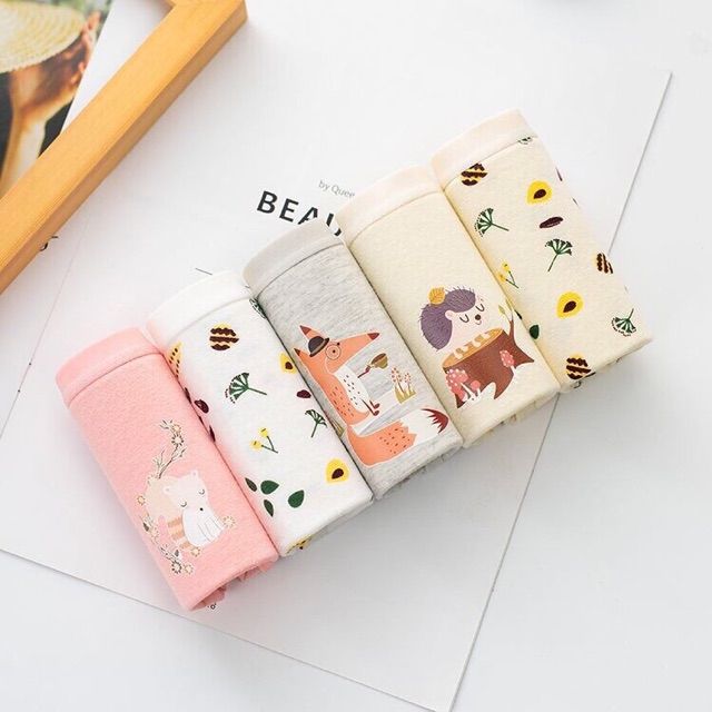 Set 5 Quần Lót Cotton Nữ Cute Cao Cấp Có Túi Zip