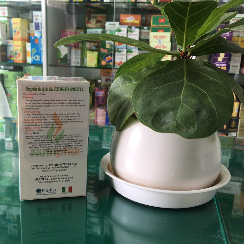 Glucosamin Artroflex - hỗ trợ giảm đau do thoái hóa khớp, khô khớp, viêm khớp (100 viên)