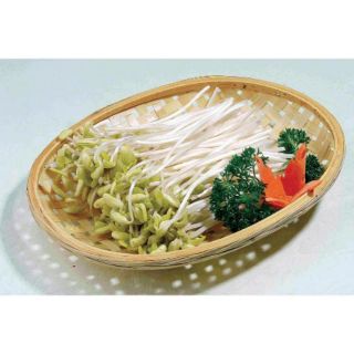 Hạt giống đậu xanh làm giá bb