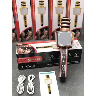Mic hát karaoke SD-17