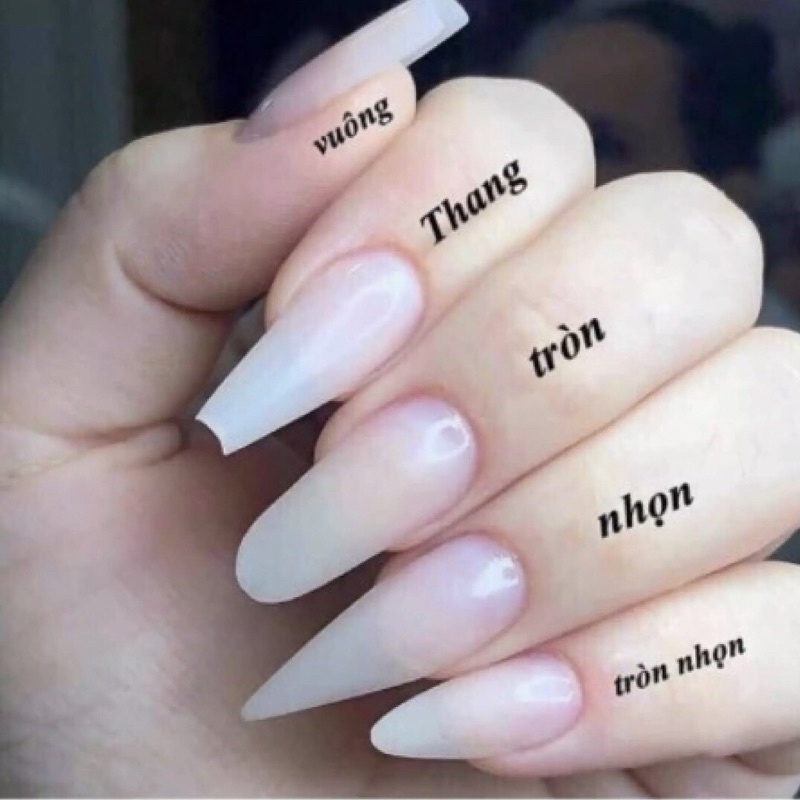 Nail Box- Móng thiết kế tặng kèm keo dan và dũa mini