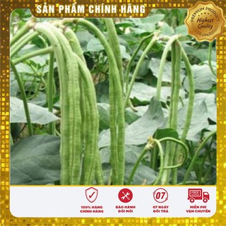 Hạt Giống Đậu Đũa Xanh(20gr)
