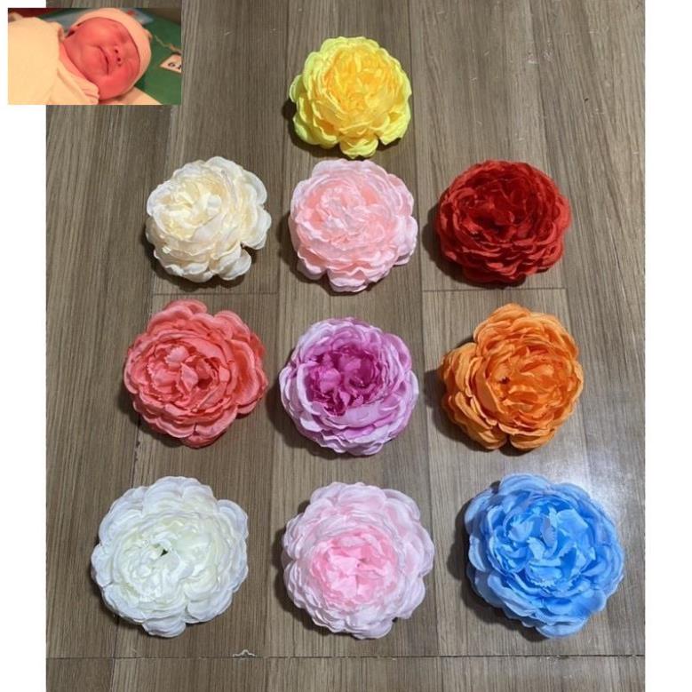 Sỉ đầu bông hoa trà MAO LƯƠNG trang trí oản,hộp quà,mix hoa sáp siêu đẹp