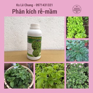 Phân bón vi sinh kích rễ, kích mầm