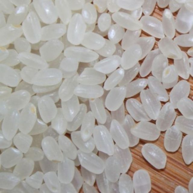 [Mã 229FMCGSALE giảm 8% đơn 500K] Gạo sạch gạo Nhật Japonica bịch 5kg - HẠT DẺO MỀM THƠM NGON luôn mới