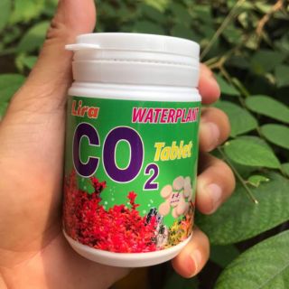 Co2 dạng viên cho hồ thủy sinh