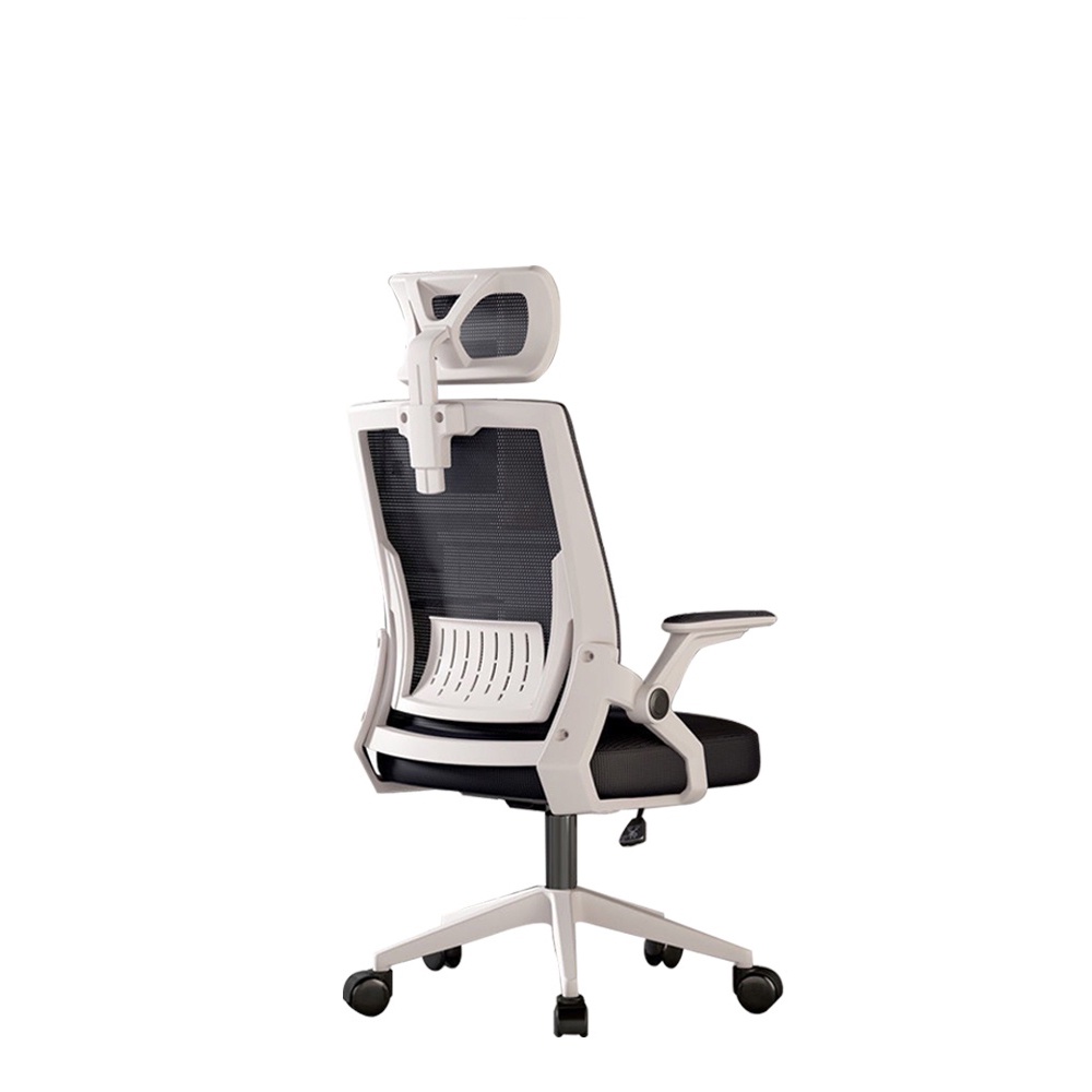 Ghế Văn Phòng Công Thái Học TMS 04