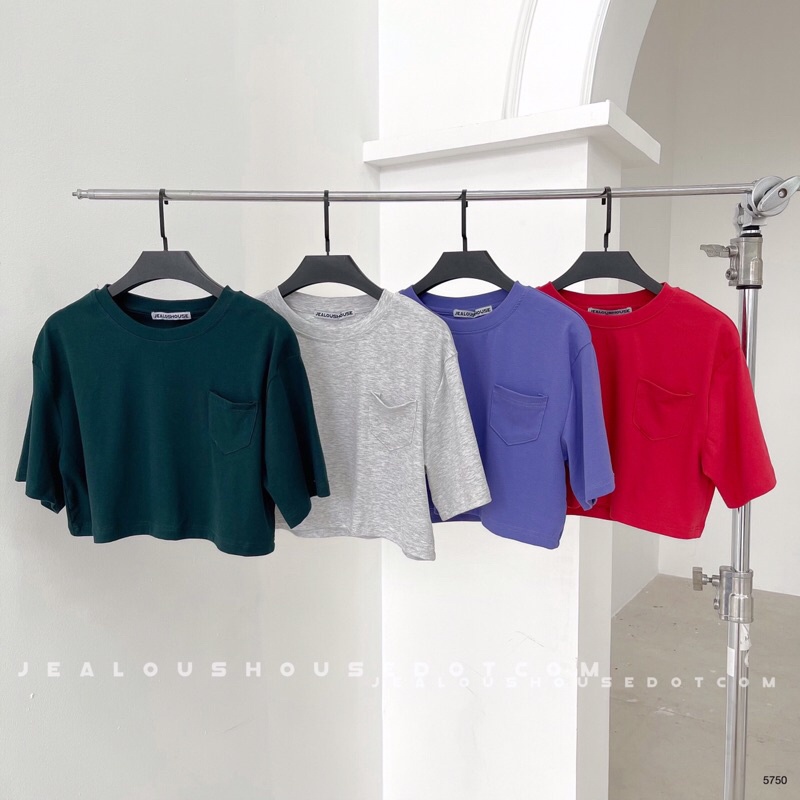 Áo thun nữ, áo phông croptop basic ss01 Jealous product 5750