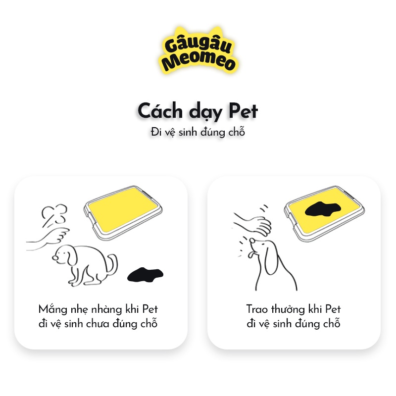 Combo 5 miếng Tã lót chó mèo