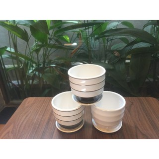 Chậu trồng cây sứ Bát Tràng