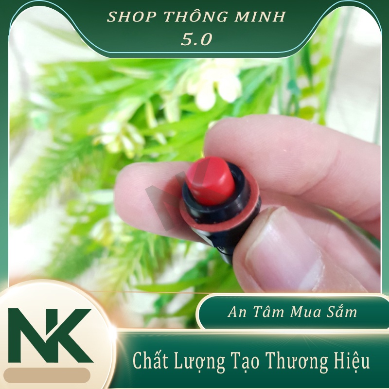 Công Tắc Bật Tắt Nguồn 3A 10MM Nút Nhấn Giữ On Off