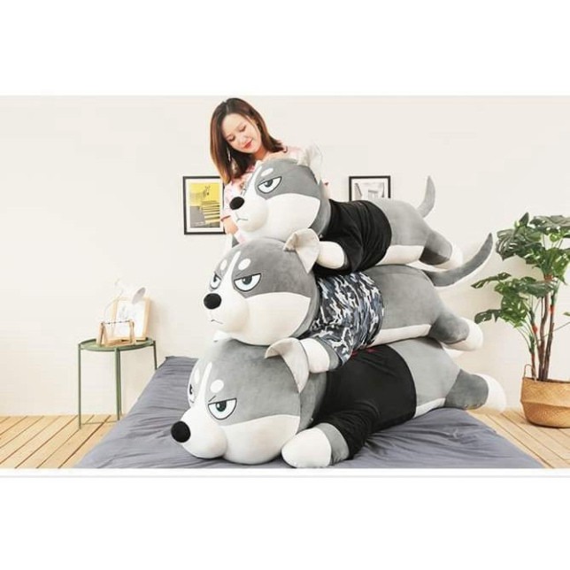 Gấu Bông Husky Chó Alaska Chất Liệu Bông Gòn Cao Cấp Vải Nhung Co Dãn