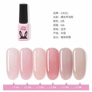 Set bộ sơn thạch  hiệu Chegel  siêu hot ( Set 6 chai )