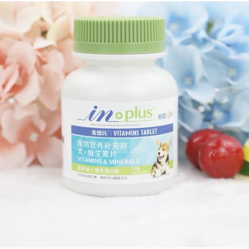 Viên bổ sung canxi và nhiều loại vitamin cho chó và mèo phòng được nhiều bệnh trong mua mưa bão