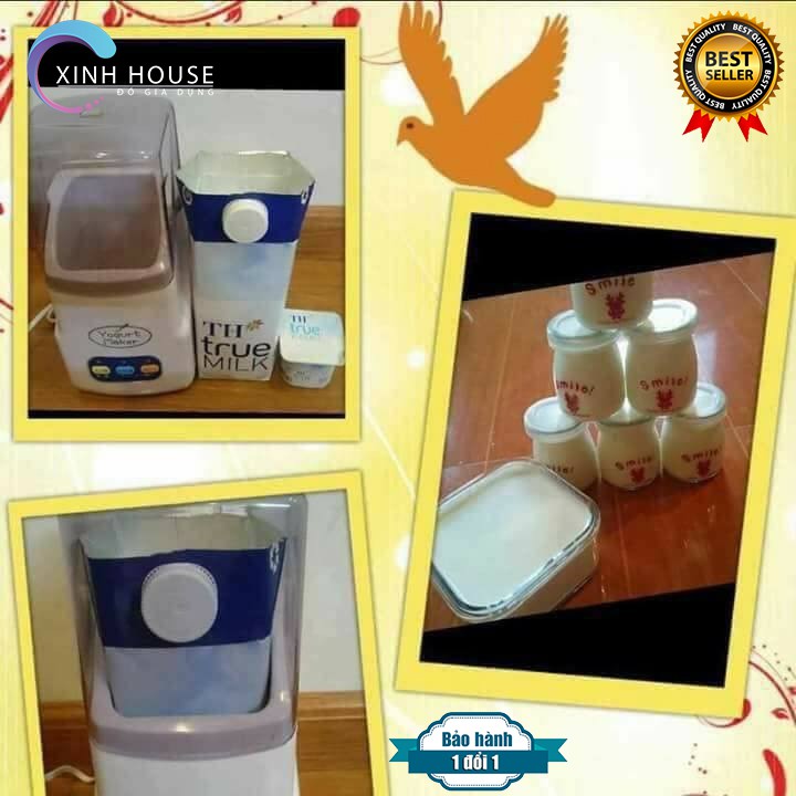 Máy Làm Sữa Chua Yogurt Maker Nhật Bản Chính Hãng, Máy làm sữa chua 3 nút chuẩn Nhật - Xinh House