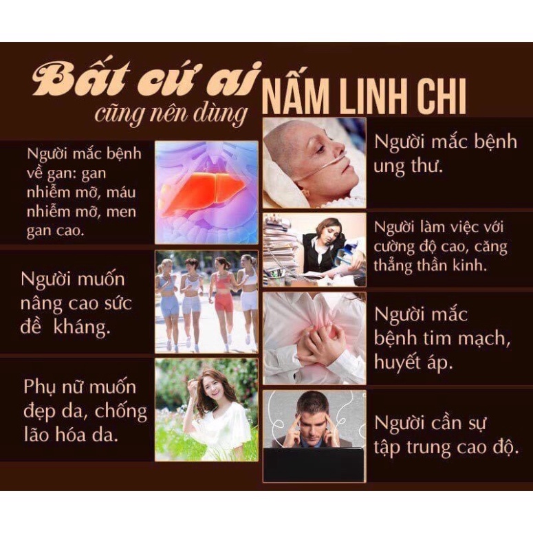 [ NẤM LINH CHI ] Nấm Linh Chi Thái Lát Hàn Quốc, Túi Xanh 1kg [ Hàng Mới Về ]