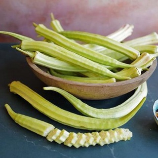 Hạt giống Đậu bắp dài Louisiana 15 hạt
