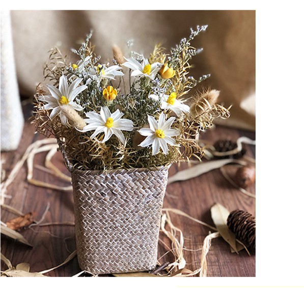 【TAILORLE】Hoa ngọc lan khô trang trí decor nhà cửa, làm hộp quà tặng, tranh hoa khô treo tường