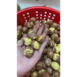[ 1ki HẠT DẺ TƯƠI BÓC VỎ SĂN LOẠI 1 ] bóc tươi không qua đông lạnh