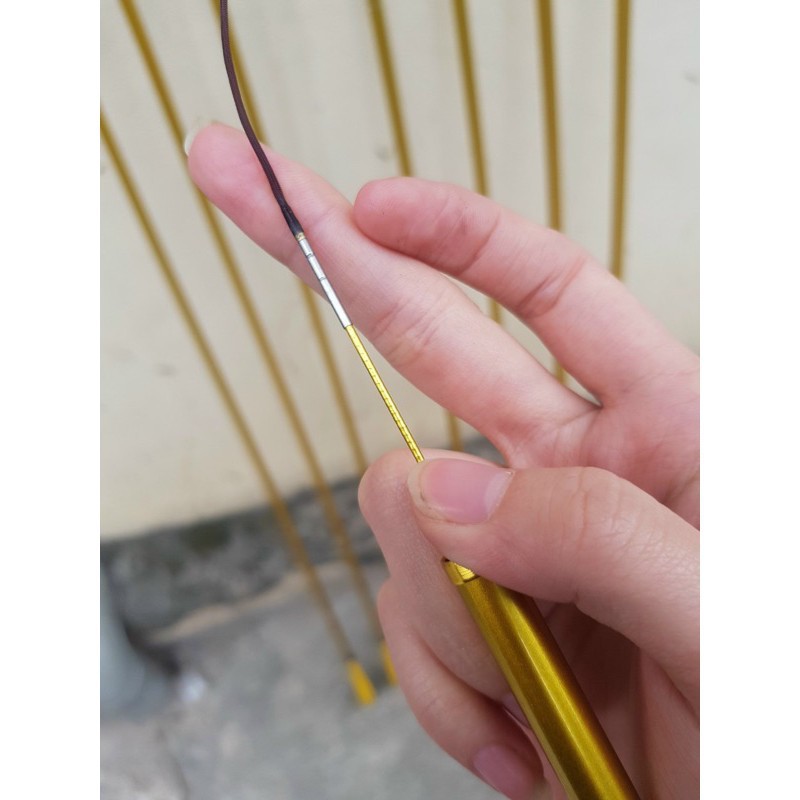 Cần Câu Tay Ánh Kim LONGWEN LIMITED hàng  hót