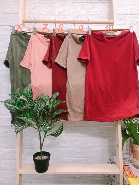 Áo body thun gân kẻ sọc HOT Hè ( hình thật 100% ) | BigBuy360 - bigbuy360.vn