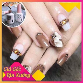 Sơn thạch bobo tông nâu hót hít