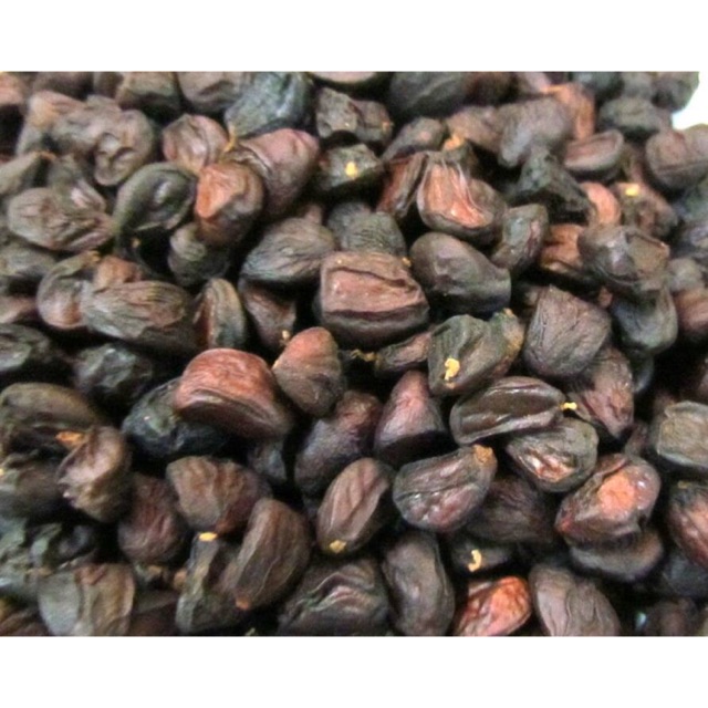 Hạt dổi nếp loại 1 Tây Bắc