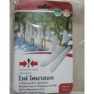 HẠT GIỐNG CÀ TRẮNG DÀI F1 THÁI LAN