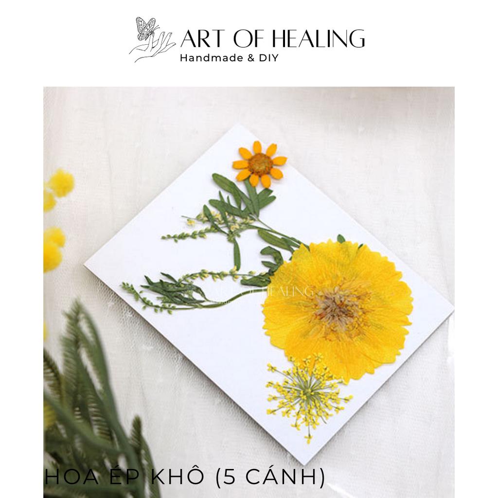 Set hoa ép khô các loại trang trí nến, resin, sổ tay, decor - 5 cánh  - Handmade & DIY
