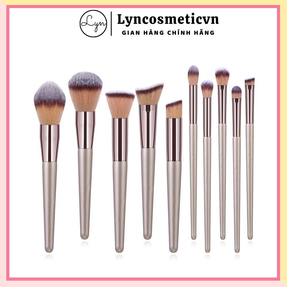 Set cọ Banfi 10 cây