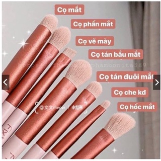 Bộ cọ Fix hồng 13 món