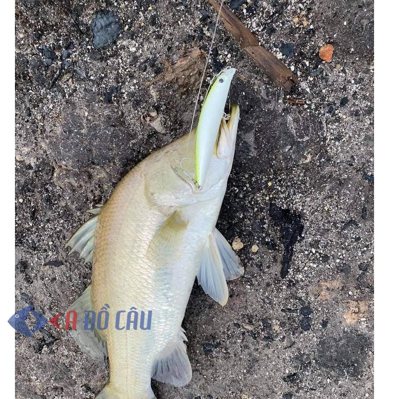 Mồi Minnow Lipless 90 chuyên cá Chẽm, cá Măng