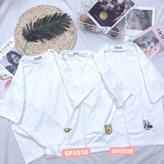 Áo thun trơn cotton
