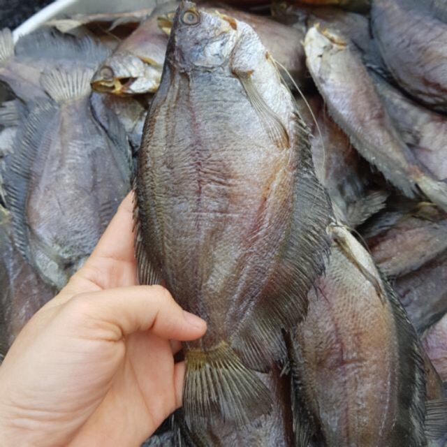 KHÔ CÁ SẶC BỔI ( KHÔ CÁ SẶC RẰN)