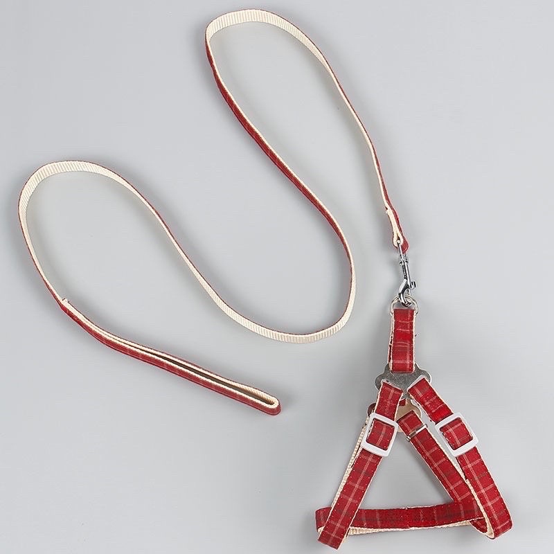 Bộ đai và dây dắt thú cưng đi dạo