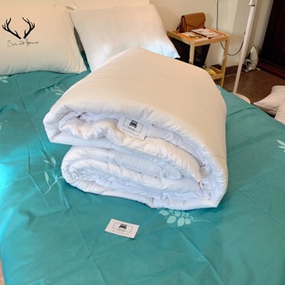 Ruột chăn đông dày vừa kích thước 2m x 2m2