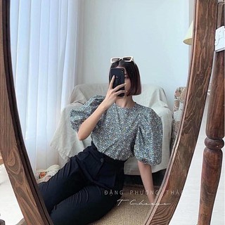 QUẦN TÂY ĐEN NHÚN BO EO LƯNG CAO