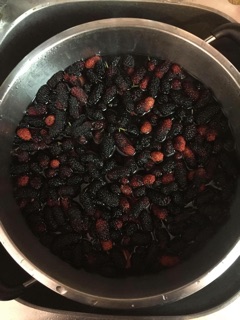 Nước dâu tằm