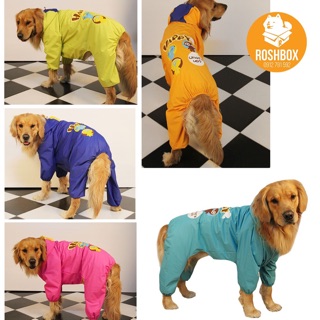 Áo mưa hoạt hình size đại (alaska, golden, labrador...)