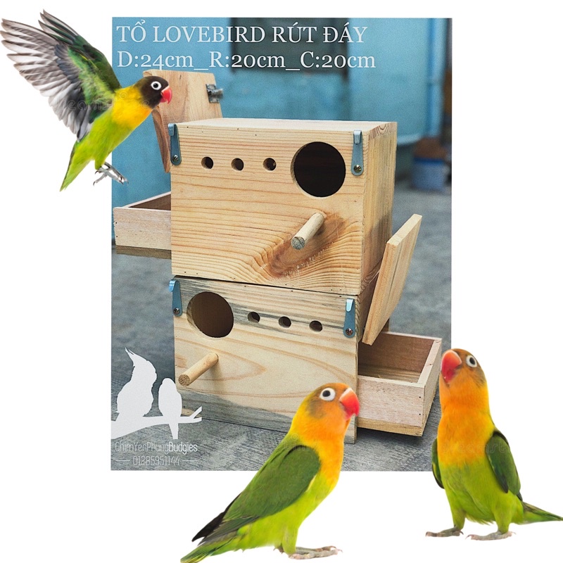 Tổ đẻ cho Vẹt Mẫu Đơn (Lovebird) • Parrotlet có ngăn rút.