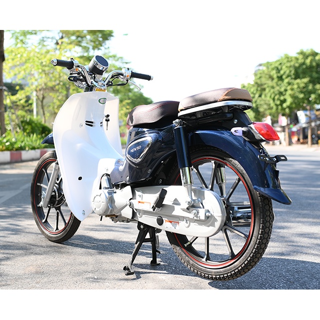 Xe số 50cc Cub 81 Ally New - vành đúc - 2021