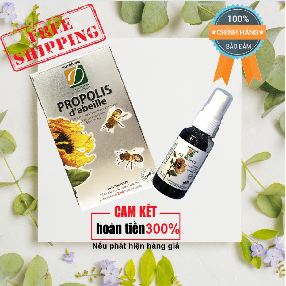Bee Propolis - Keo ong xịt NutriDom giảm ho hiệu quả