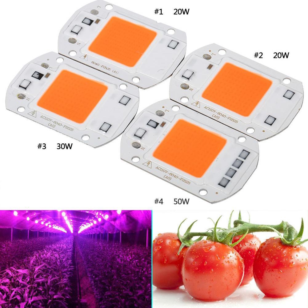 Chip LED COB toàn quang phổ công suất 20W/30W/50W điện áp 220/110V  dùng trồng cây tiện dụng