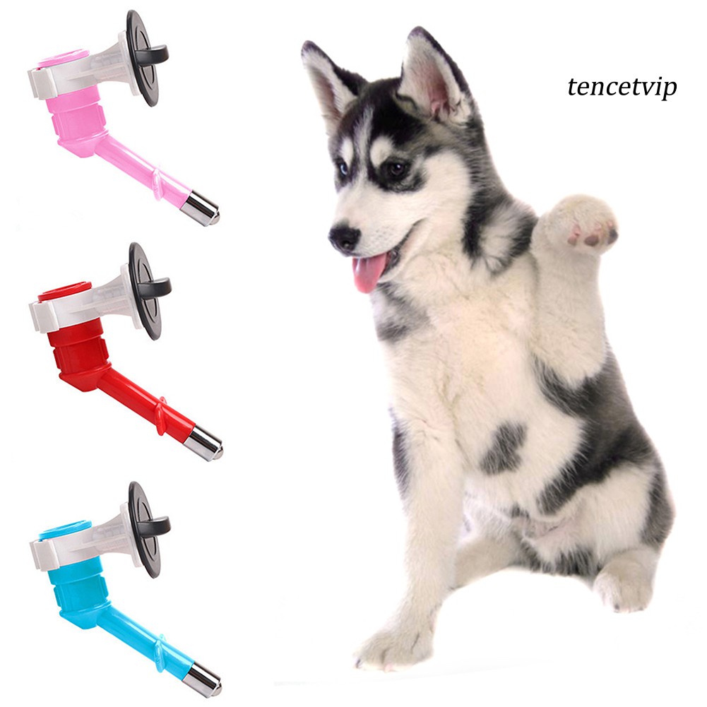 Vòi Uống Nước Tự Động Cho Thú Cưng Tiện Dụng