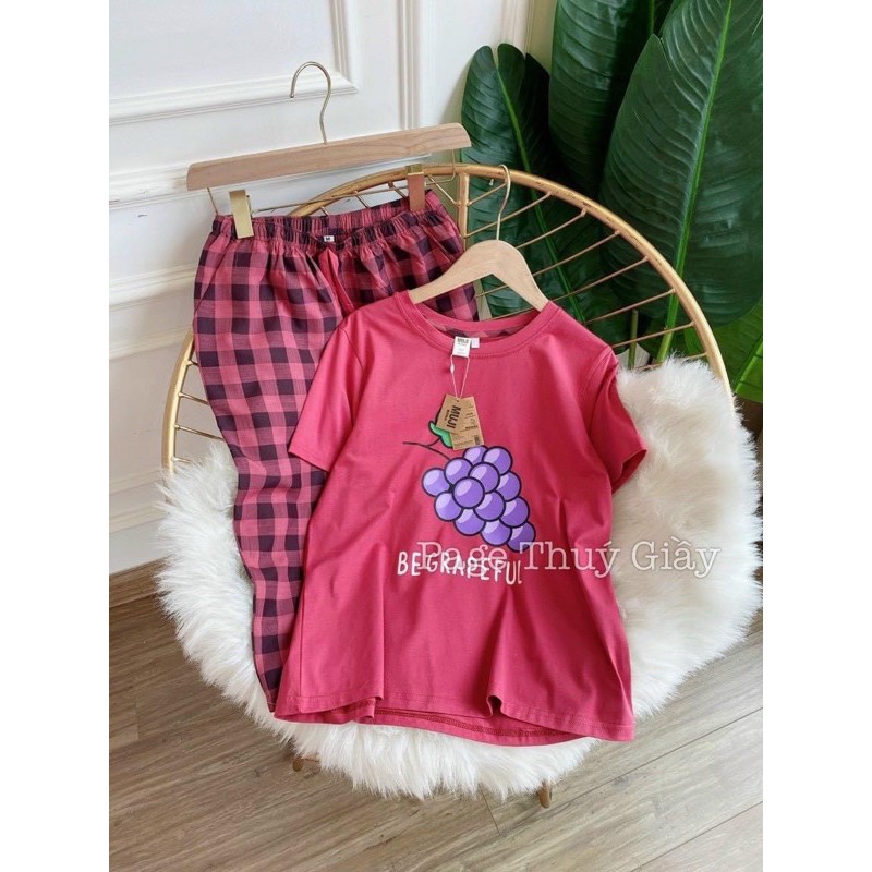 bộ ngố mặc nhà quần kẻ áo cotton hình hoa quả