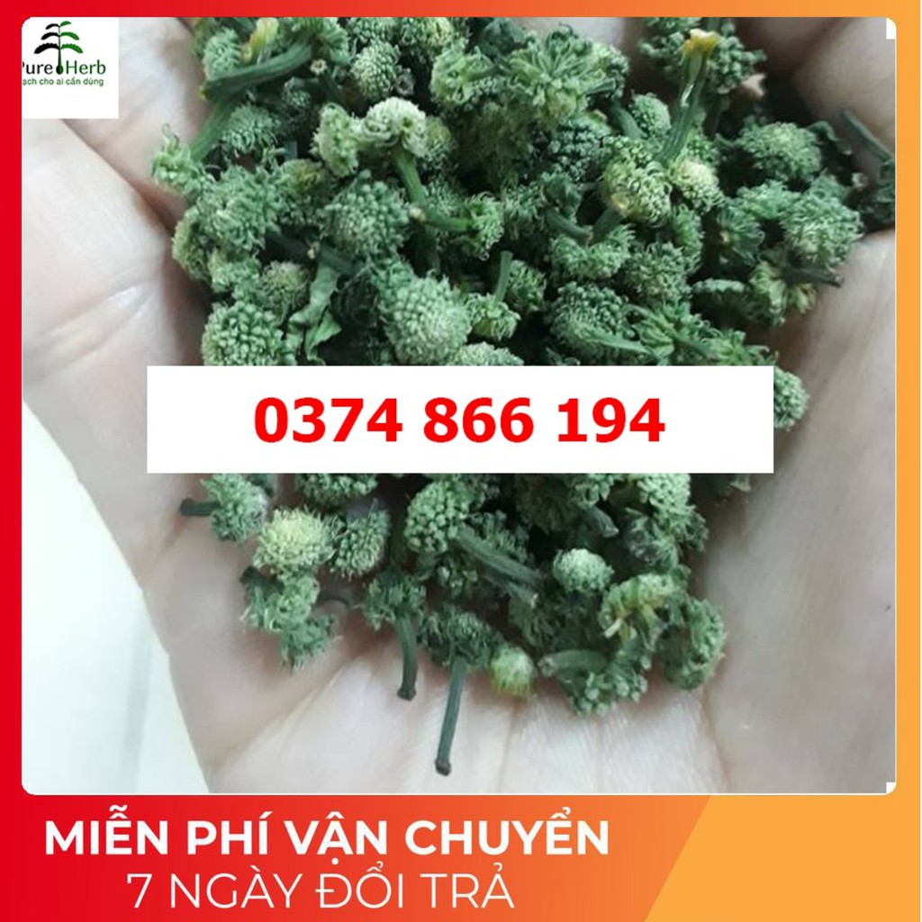 Nụ Tam thất khô 200gram