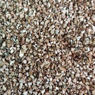 Đá Vermiculite 100g