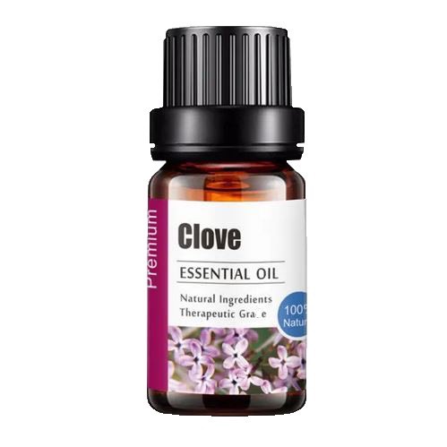 Tinh dầu thiên nhiên Đinh Hương Clove